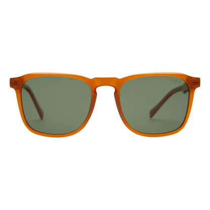 Cove Sunglasses