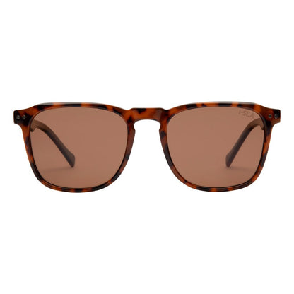 Cove Sunglasses