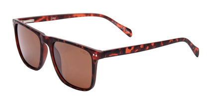 Dax Sunglasses