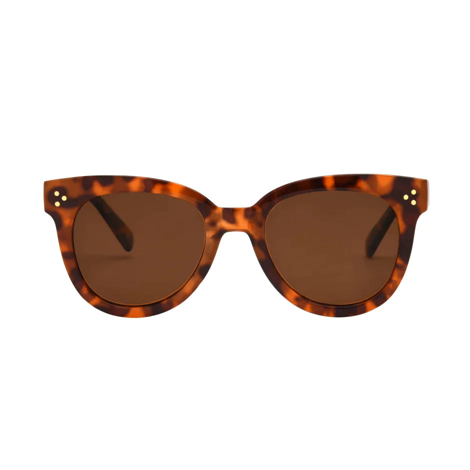 Cleo Sunglasses The Bikini Shoppe